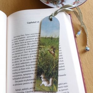 Peisaj vânâtoare